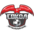 Сокол Казань