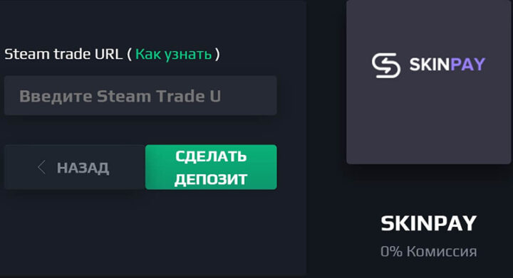 Пополнение через Skinpay