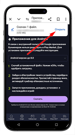 Установка букмекерского ПО