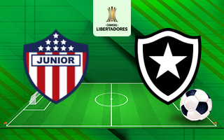 Ставки и прогноз на матч Хуниор — Ботафого, 29 мая 2024