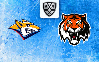 Ставки и прогноз на матч Металлург — Амур, 20 февраля 2026