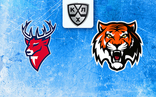 Ставки и прогноз на матч Торпедо — Амур, 19 марта 2026