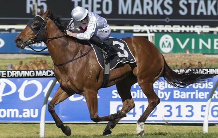 Выигрыш на скачках в Книге рекордов Гиннесса