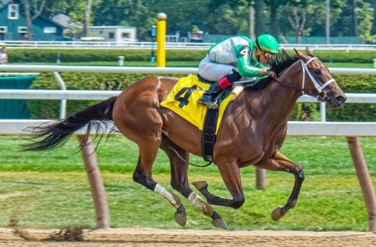 Стратегия Оскара Грайнда в ставках на спорт