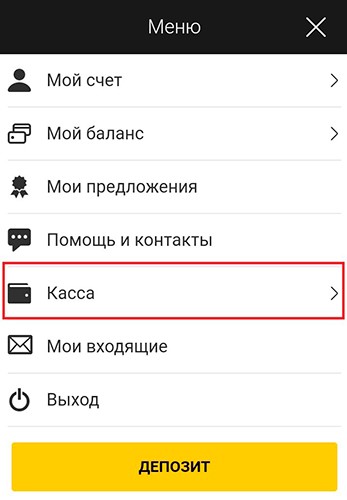 Раздел финансовых операций