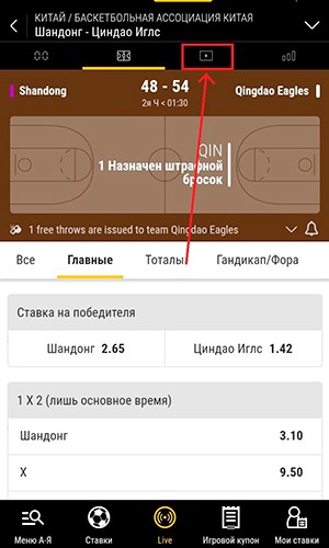 Роспись на баскетбол