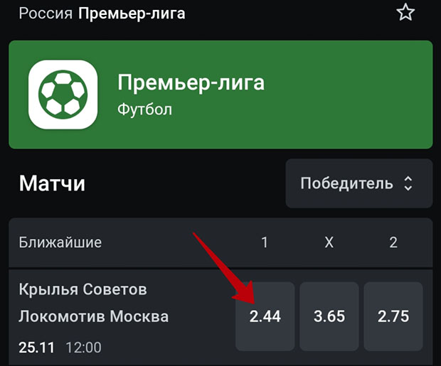 Матч чемпионата РПЛ