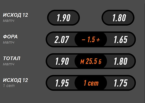 Роспись на теннис