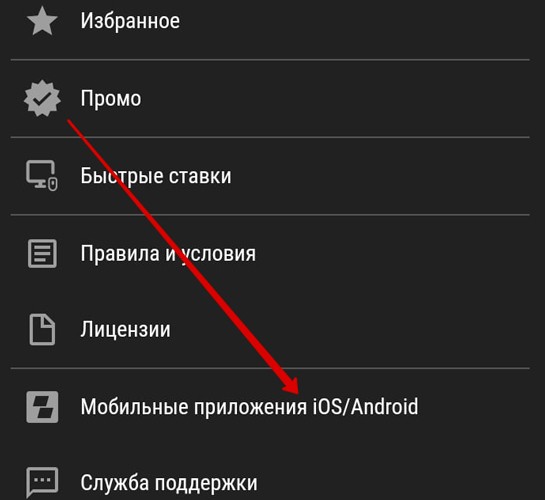 Дополнительное меню