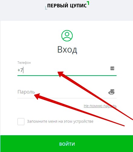 Ввод логина с паролем