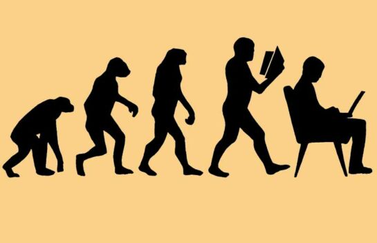 Стадии эволюционирования игрока: от новичка к профессионалу