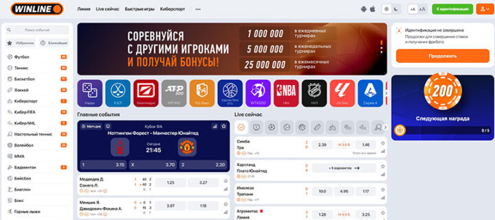 Главная страница Винлайн