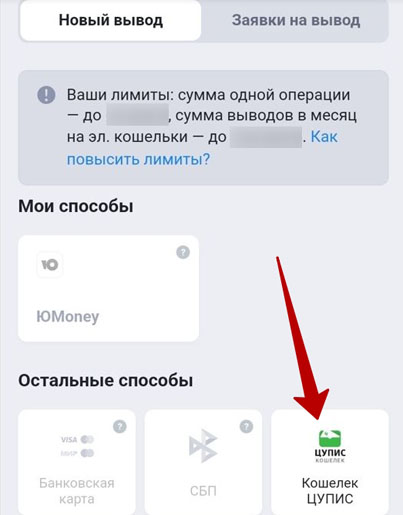 Вывод в кошелек ЦУПИС