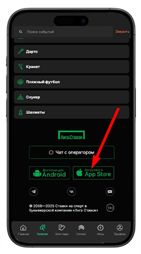 Нижняя часть сайта