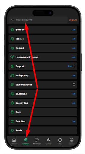 Линия и поиск