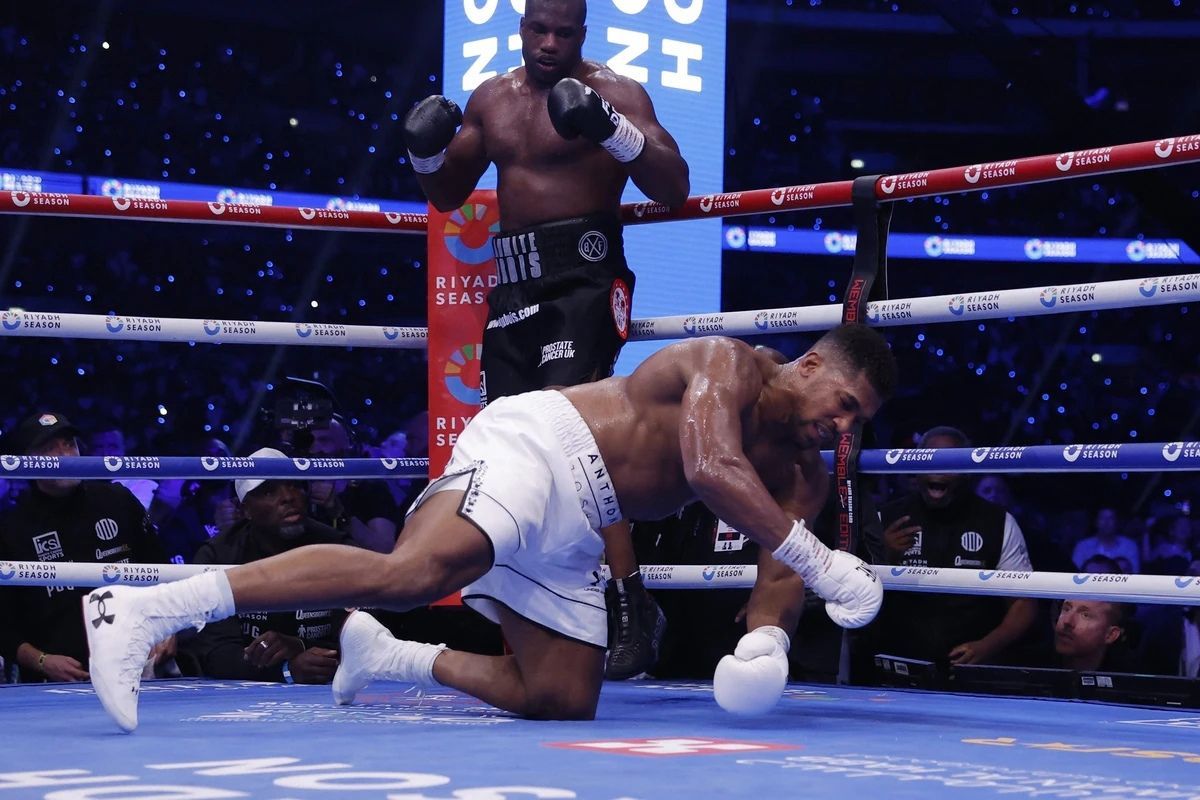 Даниель Дюбуа и Энтони Джошуа