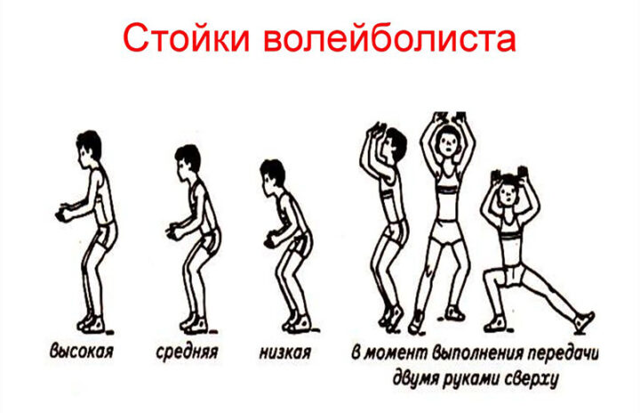 Базовые положения