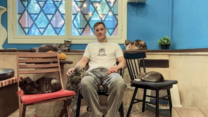 Дула и кошки