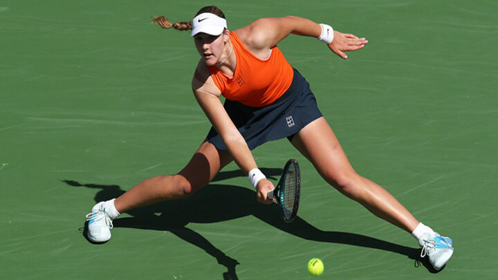 Андреева в игре