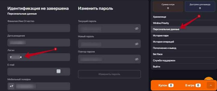 Логин в Винлайн