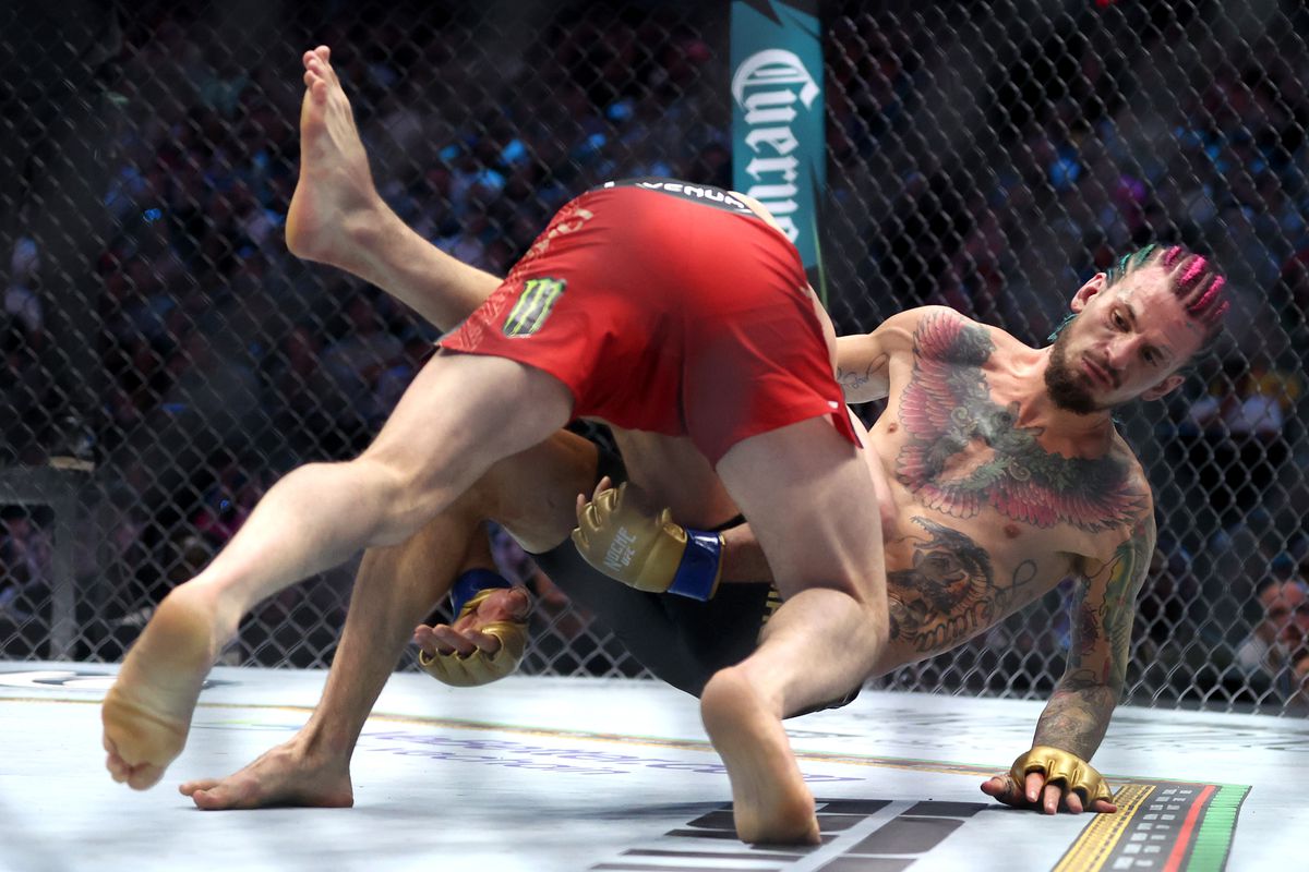 Двалишвили и О'Мэлли