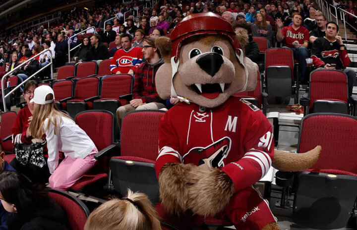 Койот-маскот