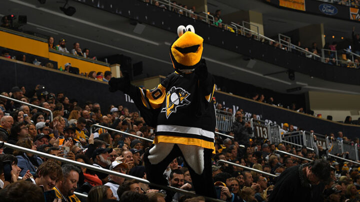 Пингвин из Питтсбурга