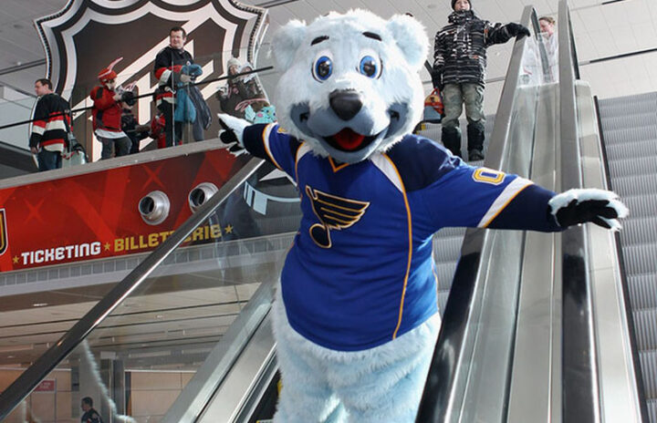 Медведь Сент-Луиса