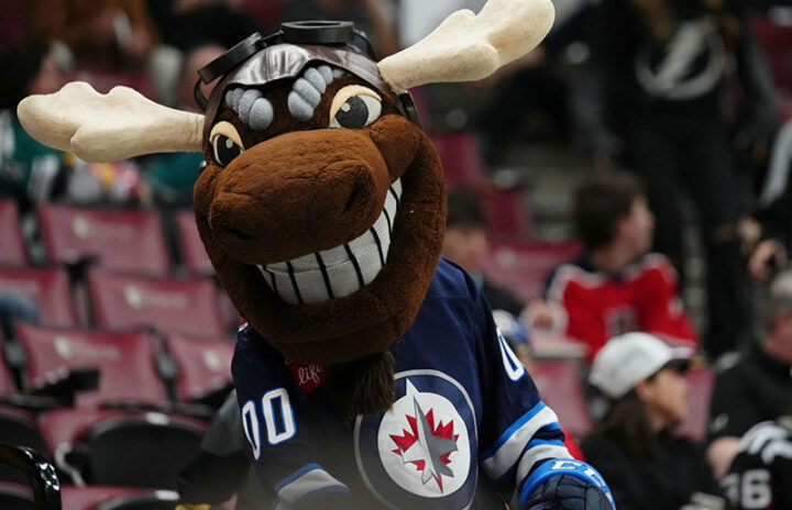 Лось Виннипега