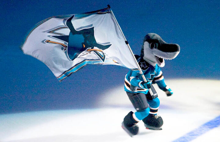 Акула из Сан-Хосе