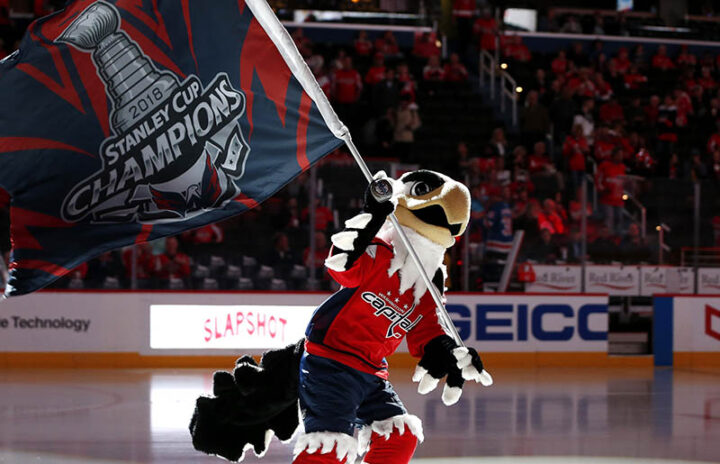 Орел Вашингтона