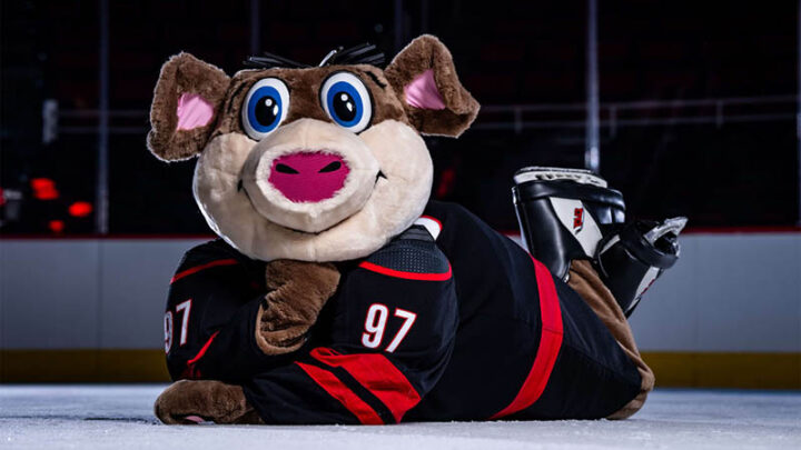 Боров Каролины