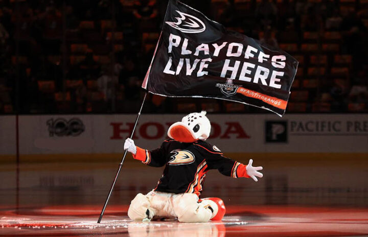 Персонаж Анахайма