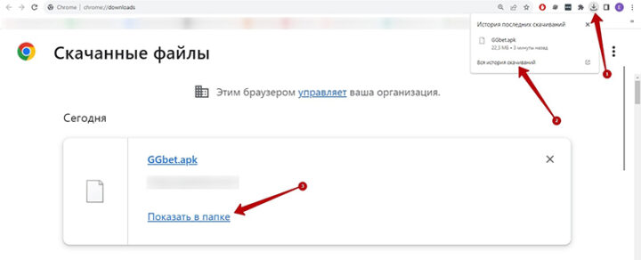 История скачиваний