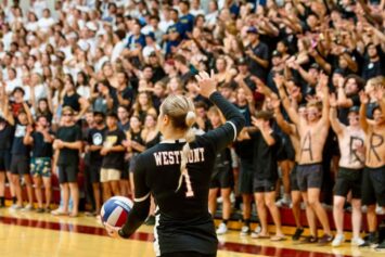 Что значит эйс в волейболе