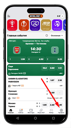 Аккаунт Винлайн
