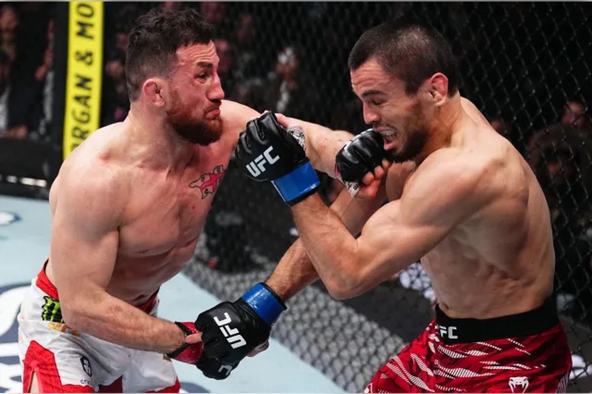 Двалишвили и Нурмагомедов