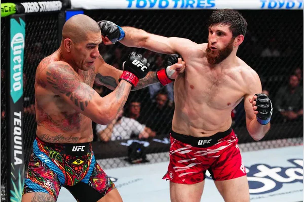 Перейра и Анкалаев