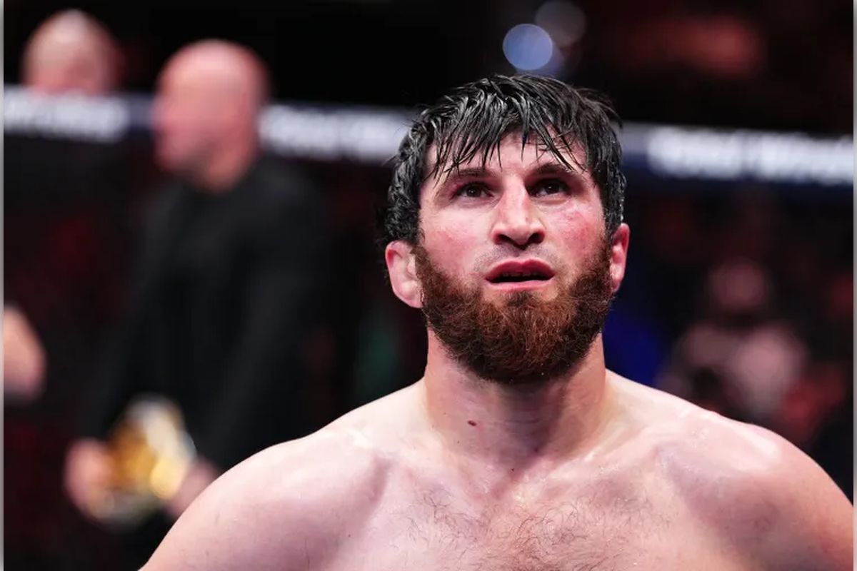 Магомед Анкалаев