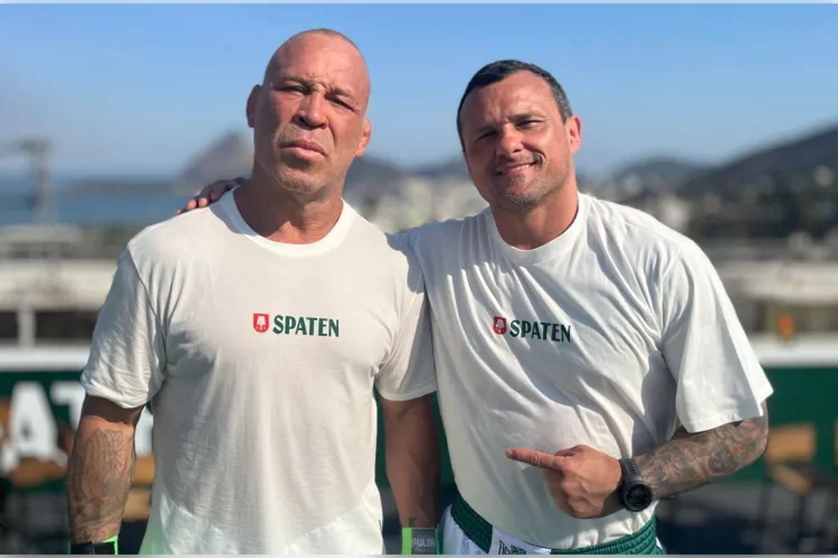 Вандерлей Силва