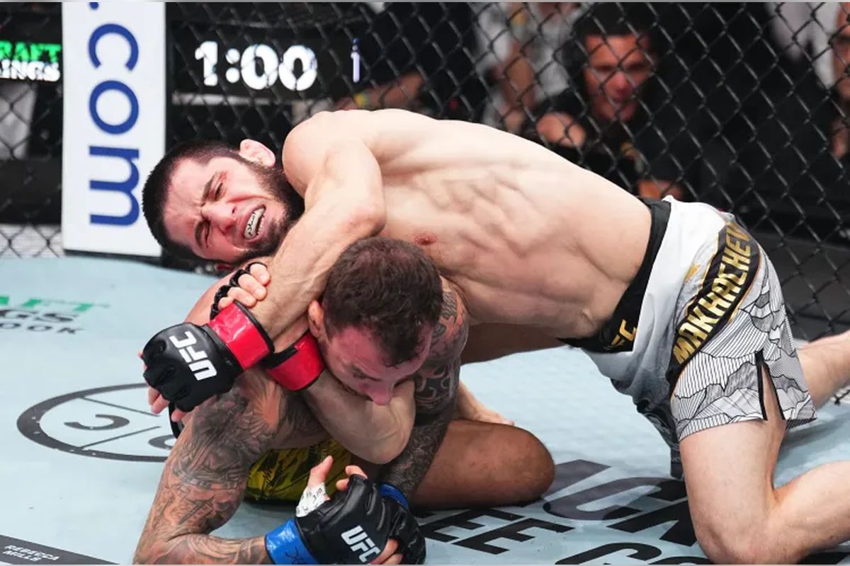 Махачев и Мойкано