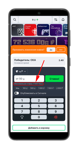Софт БК