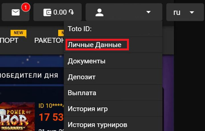 Раздел