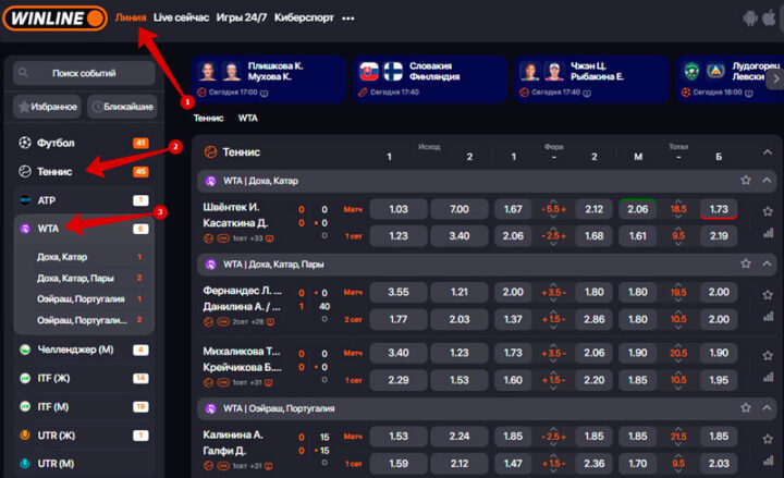 Прогнозы на теннис