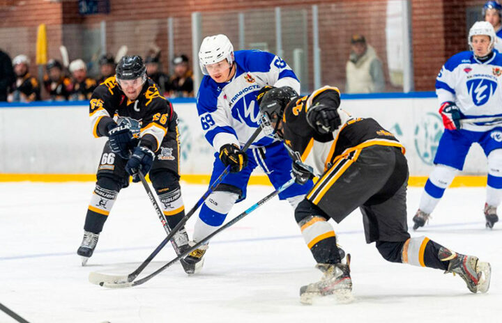 Лига хоккея