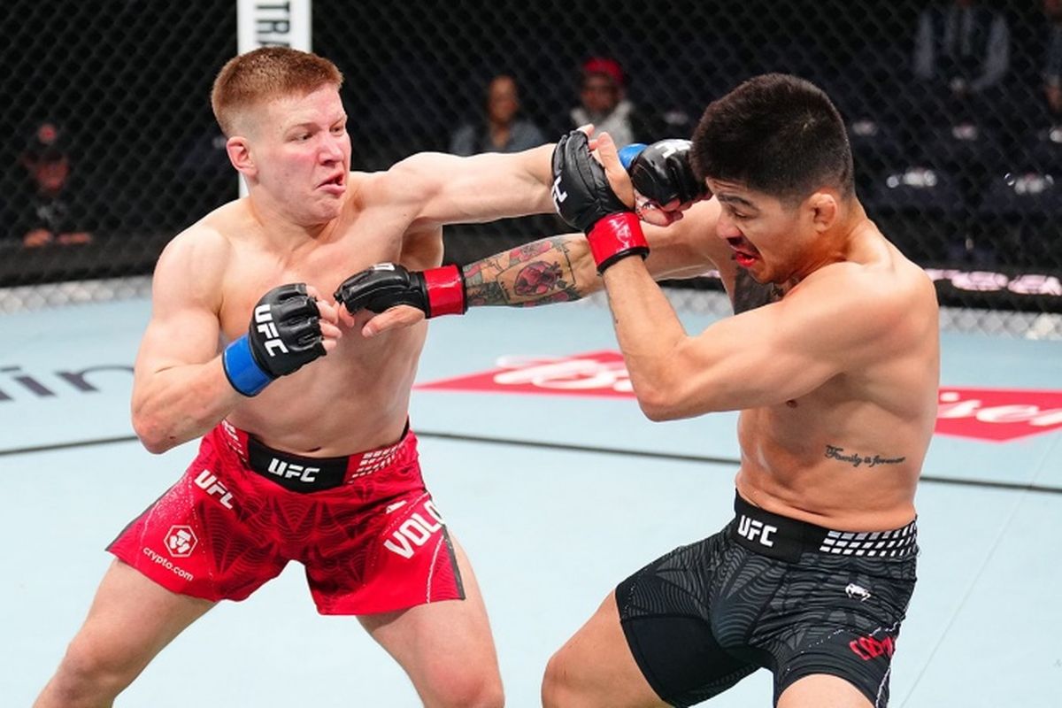 Вологдин и Кастанеда