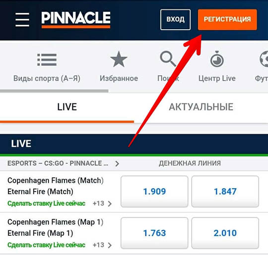 Регистрационная ссылка