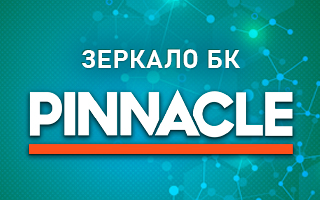 Рабочее зеркало Pinnacle